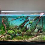 Chihiros WRGB 2 Slim Aquarium LED Light