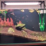 Chihiros WRGB 2 Slim Aquarium LED Light