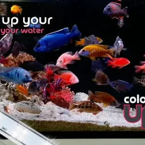 Tica Color Up 2 T8 LED Light White 2