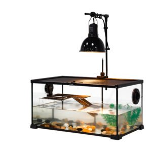 REPTIZOO Mini Reptile Glass Terrarium Tank (50.8 × 30.5 × 25.4 cm) | AK08B 2